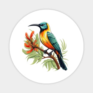 Sunbird Magnet